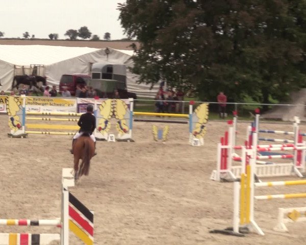 Springreitturnier Hohburg 2021