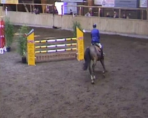 Heidelberg 2011
Samstag, den 05.03.2011
10 Springprüfung Kl.M*
