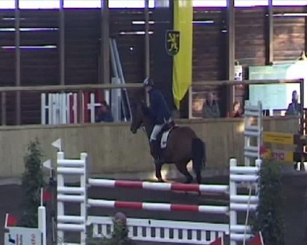 Heidelberg 2011
Freitag, den 04.03.2011
03 Springprüfung Kl.S*
