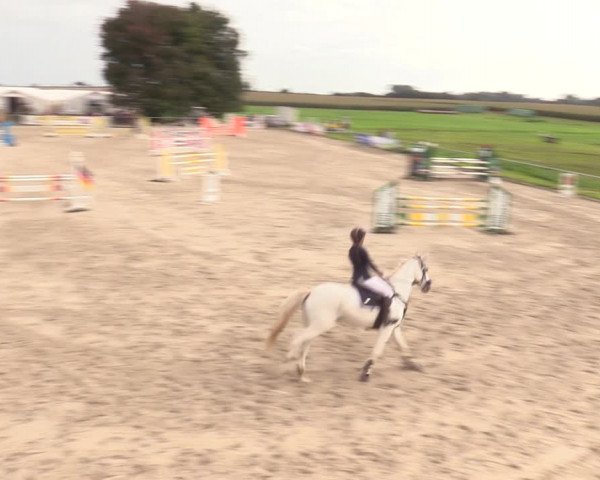Springreitturnier Hohburg 2021