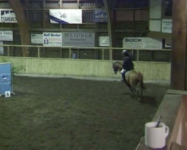 Heidelberg 2011
Donnerstag, den 03.03.2011
14 Springprüfung Kl.L
