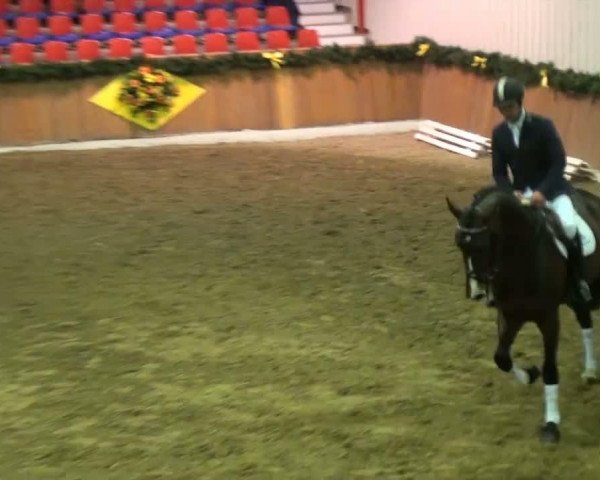 Video von CHARCO