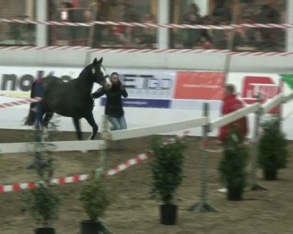 Video of Coco Couture