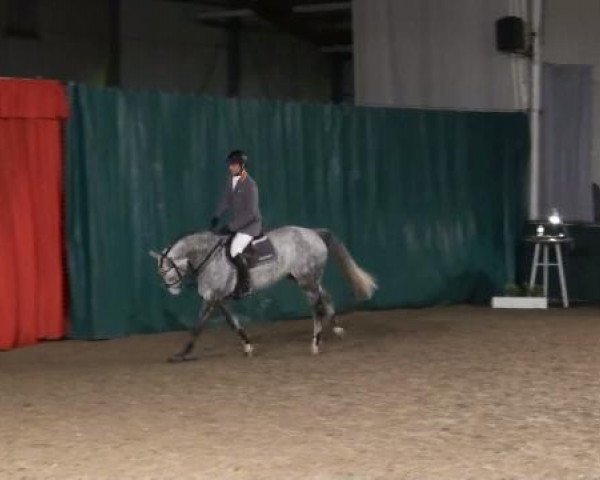 Gemeinschaftshengstschau Handorf 2012
Dienstag, den 28.02.2012
Ludger Beerbaum Stables
