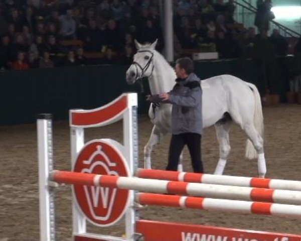 Gemeinschaftshengstschau Handorf 2012
Dienstag, den 28.02.2012
Ludger Beerbaum Stables
