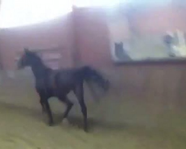 Video von Rhianna S