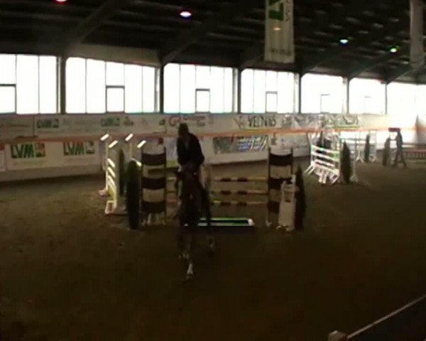 Video von Calmando 3