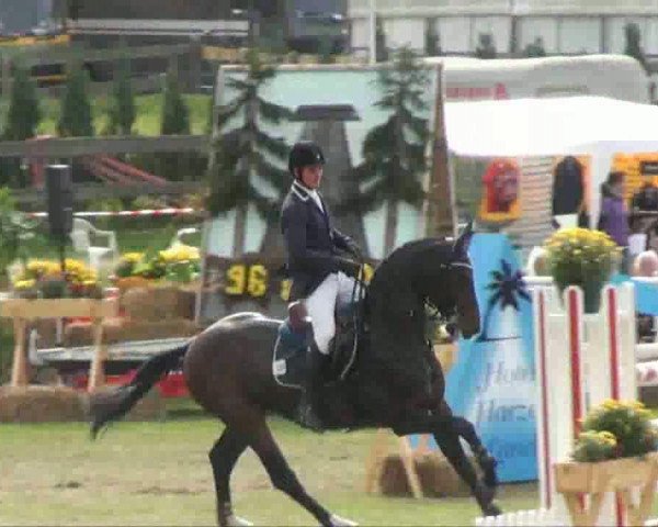 Video of Sine Qua Non