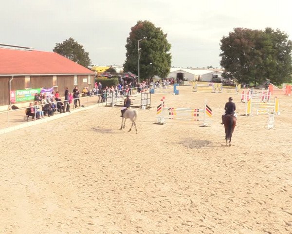 Springreitturnier Hohburg 2021