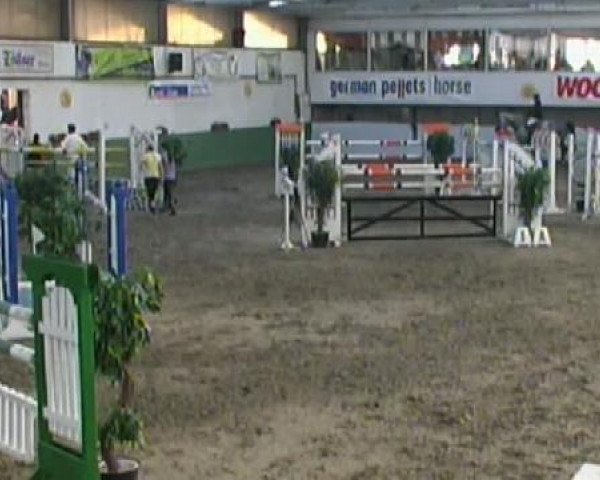 Neunkirchen 2011
Sonntag, den 02.10.2011
13 Springprüfung Kl.S*