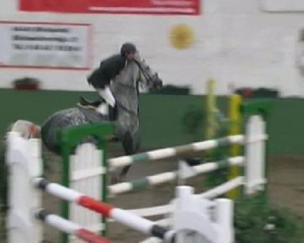 Neunkirchen 2011
Sonntag, den 02.10.2011
12 Springprüfung Kl.S*

