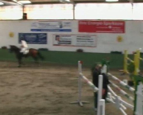 Neunkirchen 2011
Sonntag, den 02.10.2011
11 Springprüfung Kl.M**
