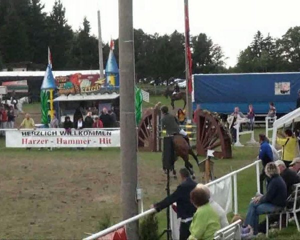 Video von Corofino M