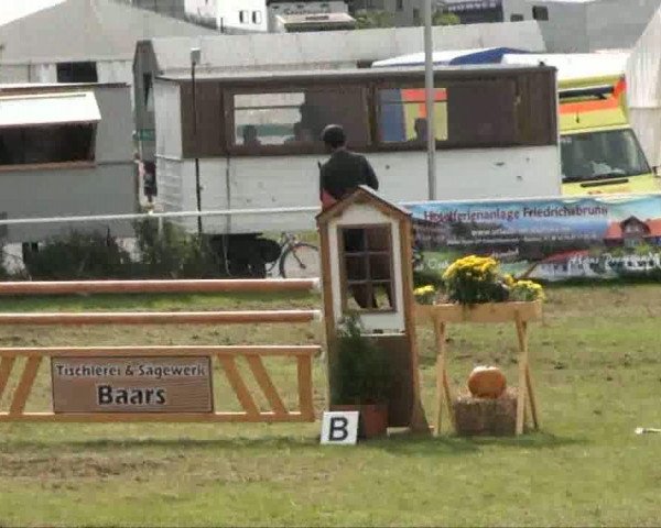 Video di Linox 3