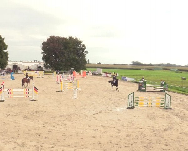 Springreitturnier Hohburg 2021