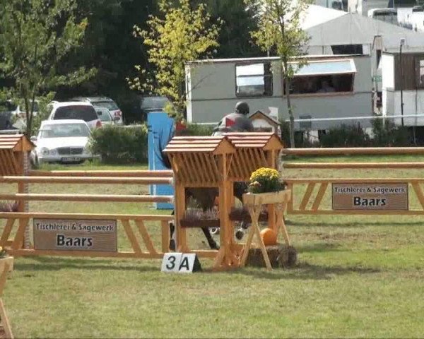 Video von Corofino M