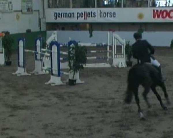 Neunkirchen 2011
Freitag, den 30.09.2011
04 Springprüfung Kl.M* U25
