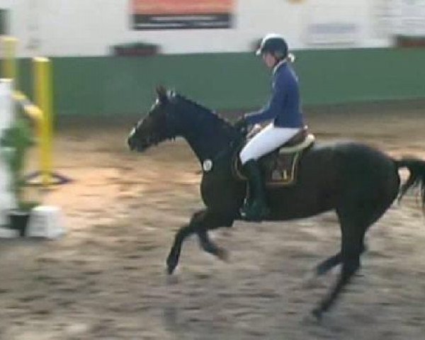 Neunkirchen 2011
Freitag, den 30.09.2011
01 Springpferdeprüfung Kl.A**
