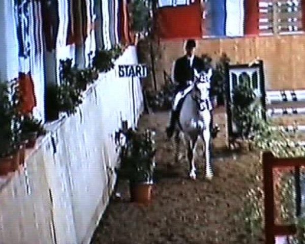 Video of Cosmana