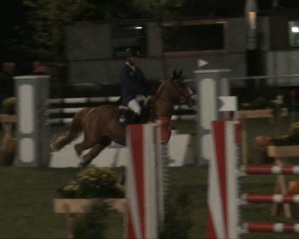 Video of Pelegrino Ronco Der Nuernberger
