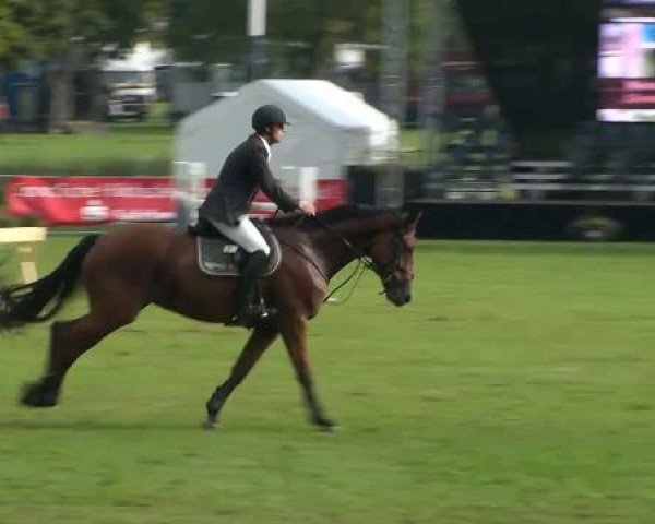 Video of Celebration 18