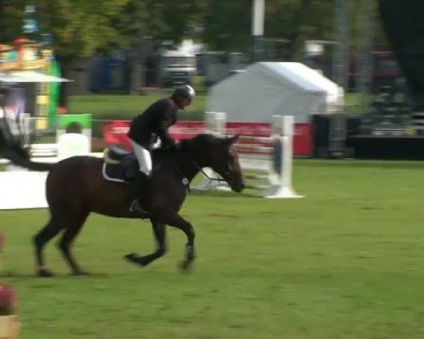 Video of Celentano 33