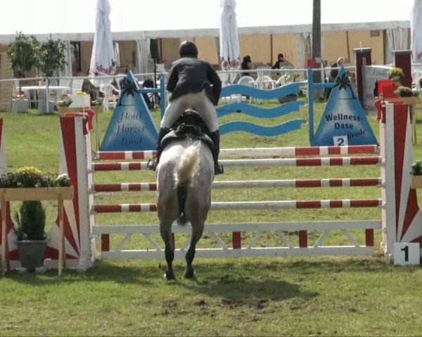 Video of Connery 31