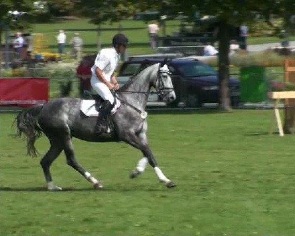 Video von Caluna