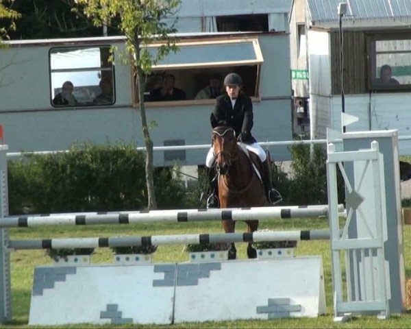 Video of Scudera