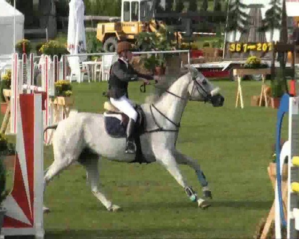 Video of Sambuco 22