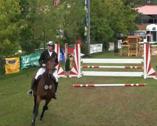 Video of Caseda
