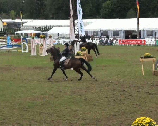 Video of Coco Cabana 2