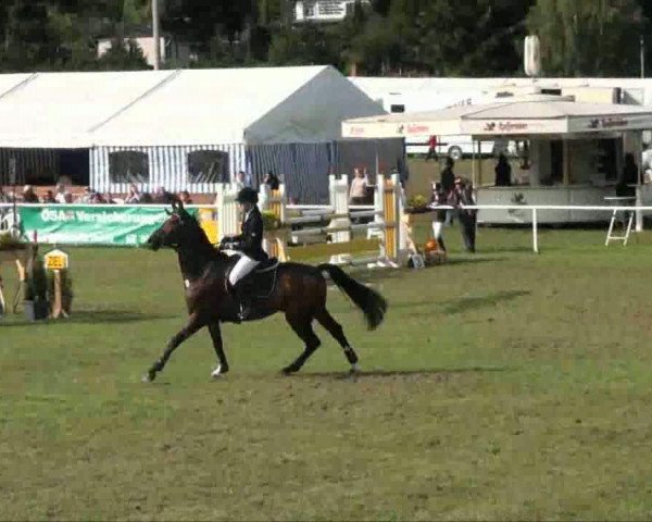 Video of Coco Cabana 2