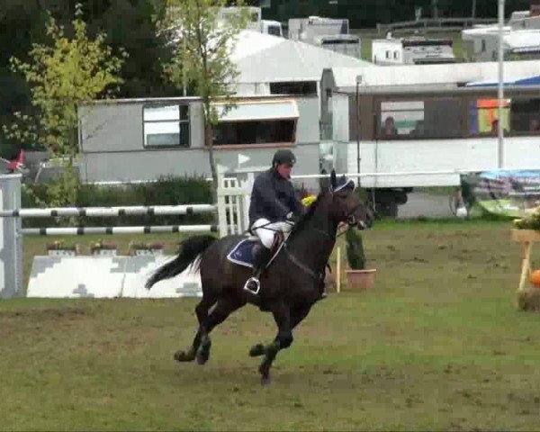 Video of Esquire II