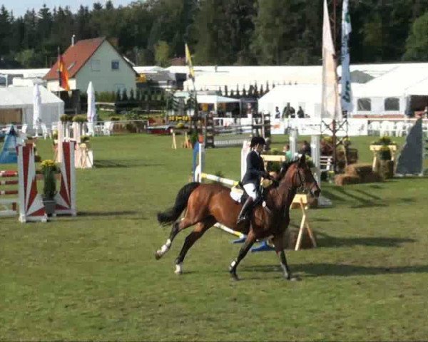 Video of Cäpt’n Grannus