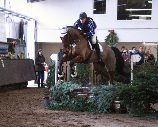 Springpferd Captain Checker W (Westfale, 2009, von Captain Fire)