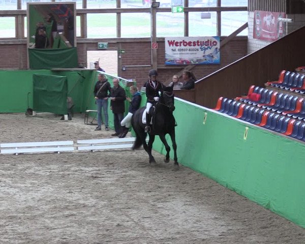 Krumke Hallenturnier mit KM 2021