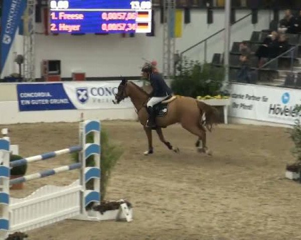 VER-Dinale 2012
Samstag, den 28.01.2012
04 Springprfg.Kl.S m.St.*
