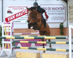 jumper Imago vd Heffinck (Belgian Warmblood, 2008, from Boris van het Kluizebos)