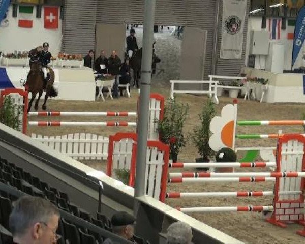 VER-Dinale 2012
Donnerstag, den 26.01.2012
11 Mannsch.-Springprfg.Kl.M** mit 1 Umlauf
