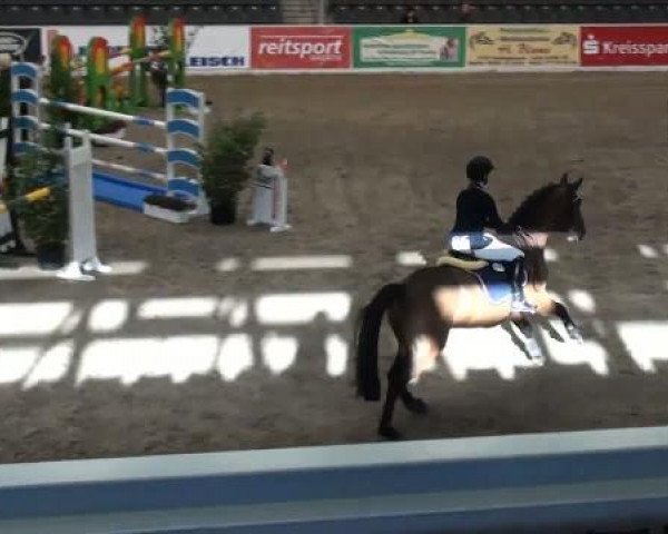 VER-Dinale 2012
Donnerstag, den 26.01.2012
10 Springprüfung Kl.M**
