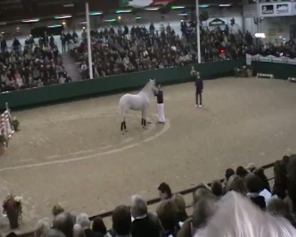 Video von Champion du Lys