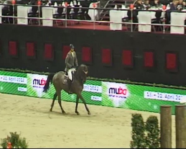 Video of Cornet's Cristallo