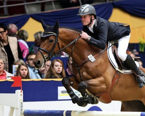broodmare Taquila 2 (Holsteiner, 2003, from Paramount)