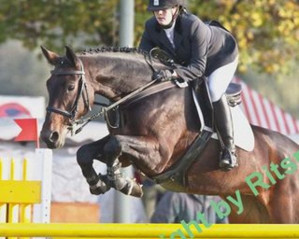 jumper Nanina (Westphalian, 1997, from Newcastle)