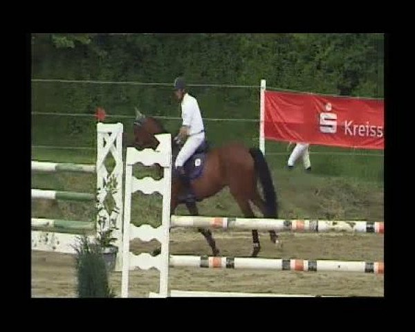 Bösingen-Herrenzimmern 2011
Freitag, den 06.05.2011
03 Springprüfung Kl.M*
2. Abteilung
