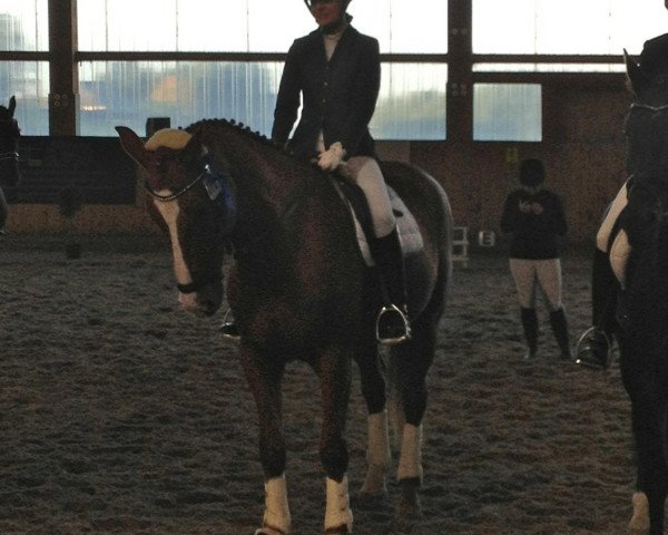 dressage horse Dumbledore (Westphalian, 2004, from Del Piero)