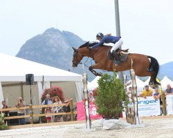 jumper Fabio van't Roosakker (Belgian Warmblood, 2005, from For Pleasure)