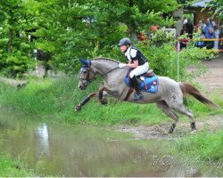 Broodmare Dshamilja (German Riding Pony, 1992, from Domingo)