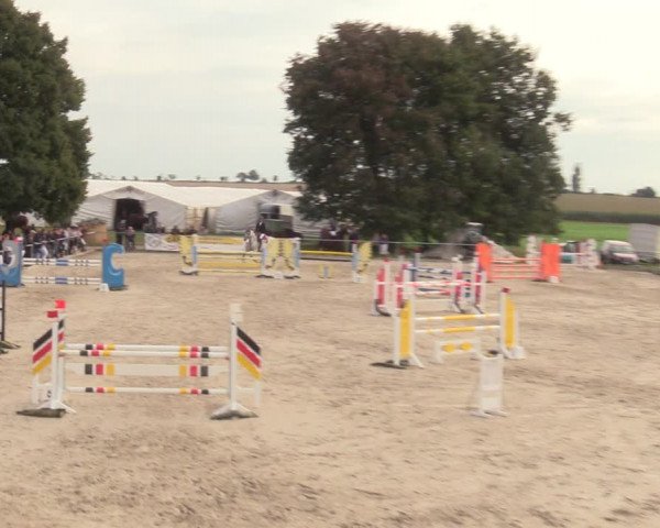 Springreitturnier Hohburg 2021